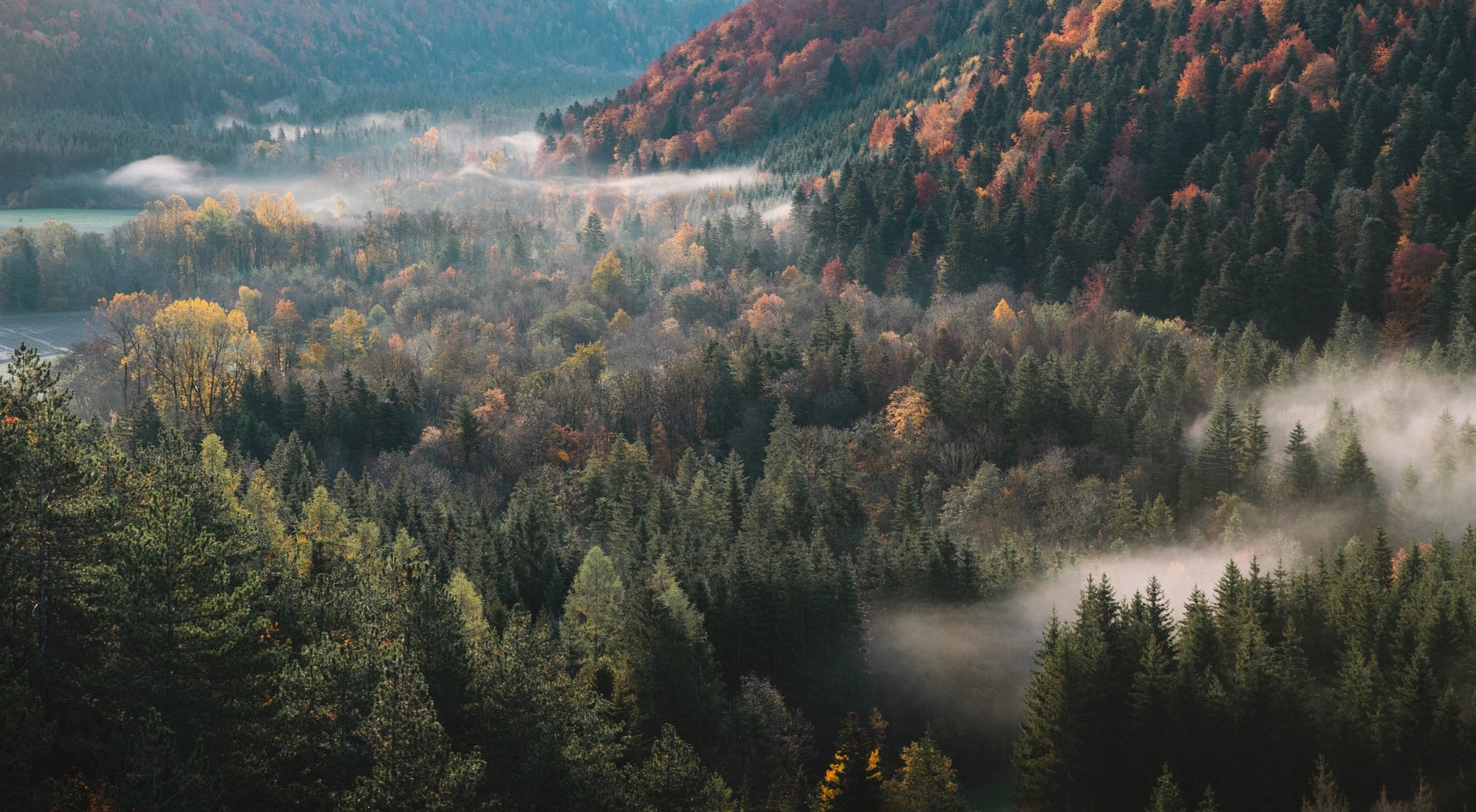 Mountains of Jura, Photo by Léonard Cotte on Unsplash