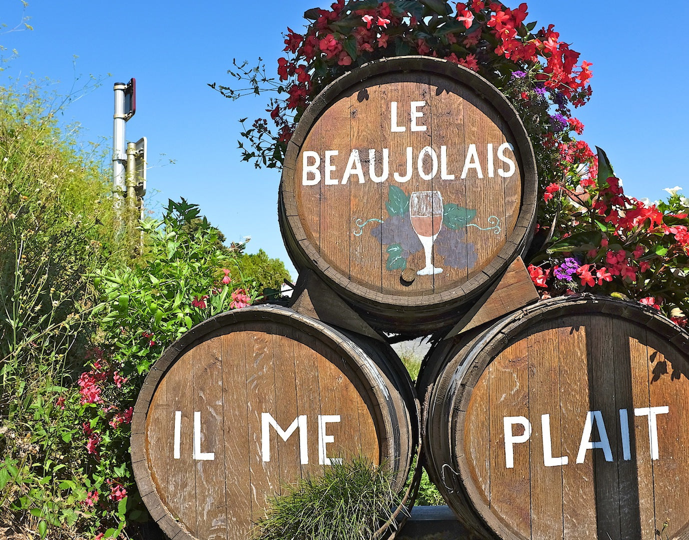 Beaujolais Nouveau is back!