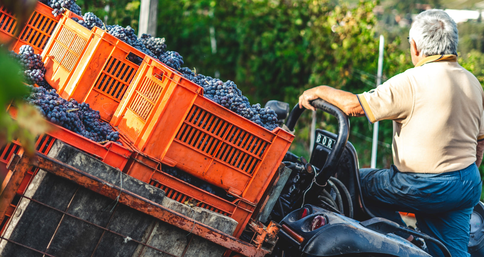 Photo by Andrea Cairone on Unsplash