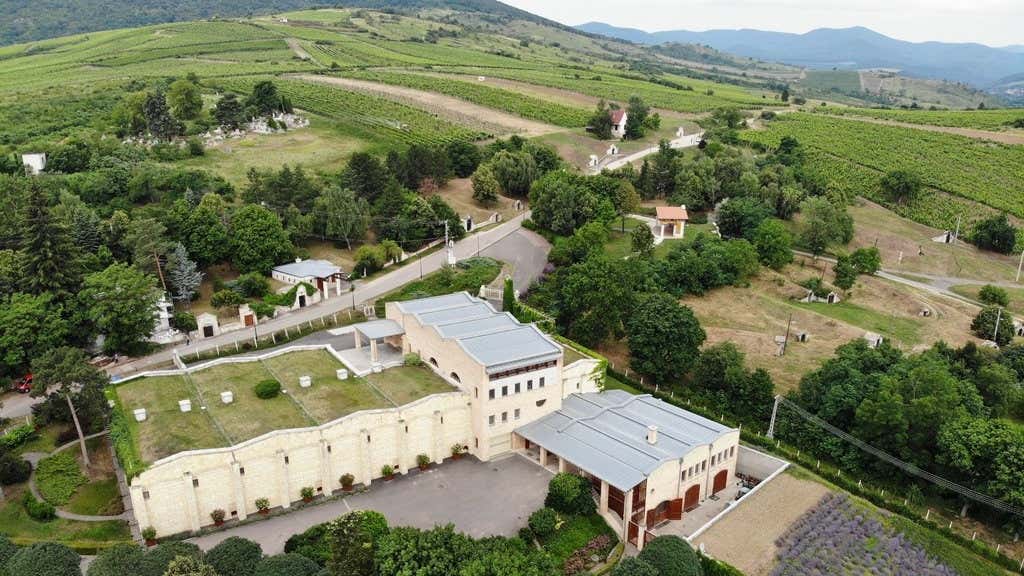Oremus Tokaji Furmint Selection Case