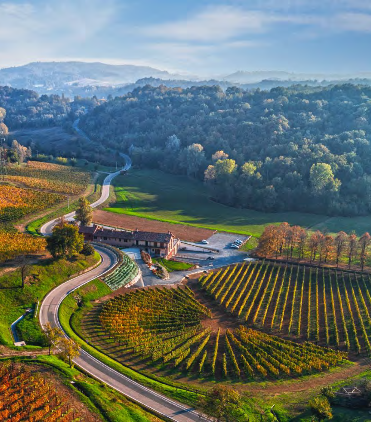 Bine Wines Mixed Case