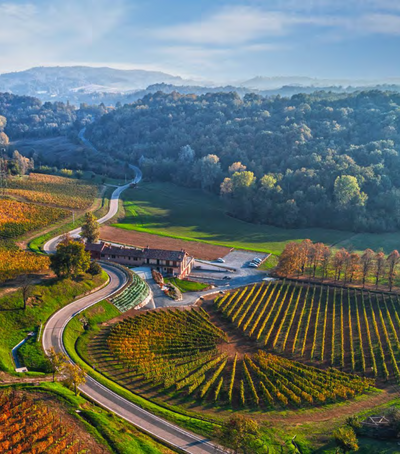 Bine Wines Mixed Case