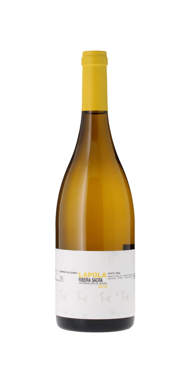 Dominio do Bibei Lapola, Ribeira Sacra, 2021