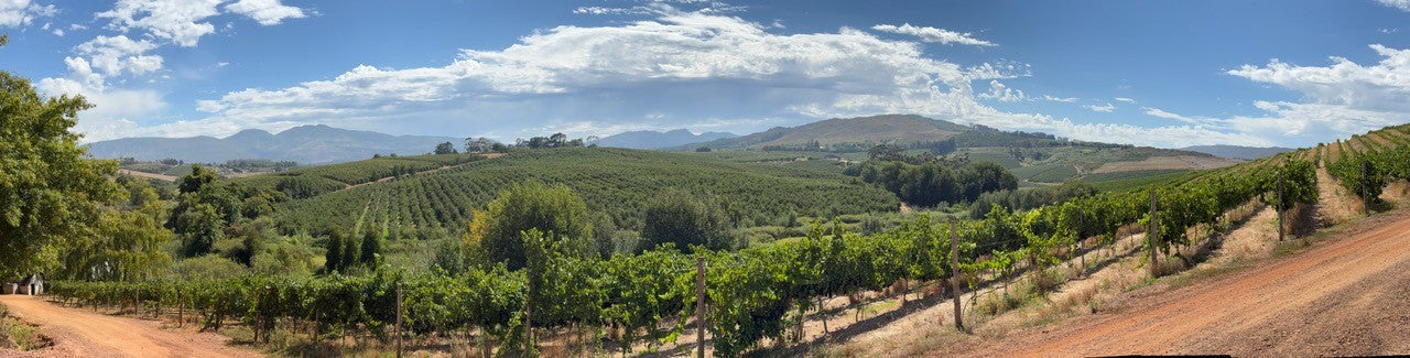 South Africa Tasting with Guy from Equinox Wines