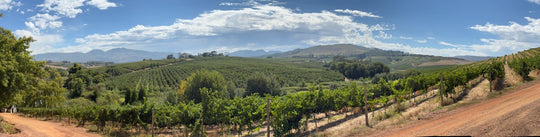 South Africa Tasting with Guy from Equinox Wines
