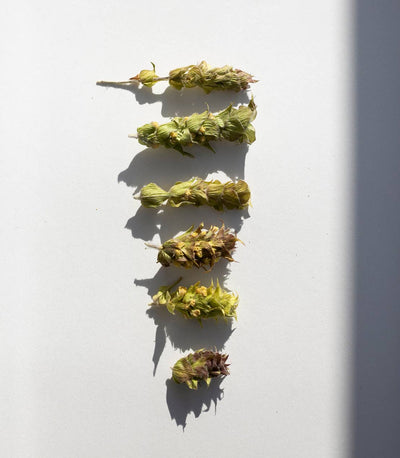 Mountain Tea Bouquet