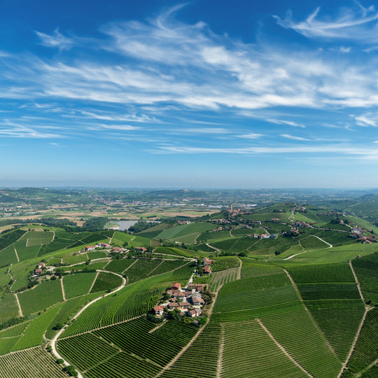 Produttori del Barbaresco 2021 6-Bottle Mixed Case