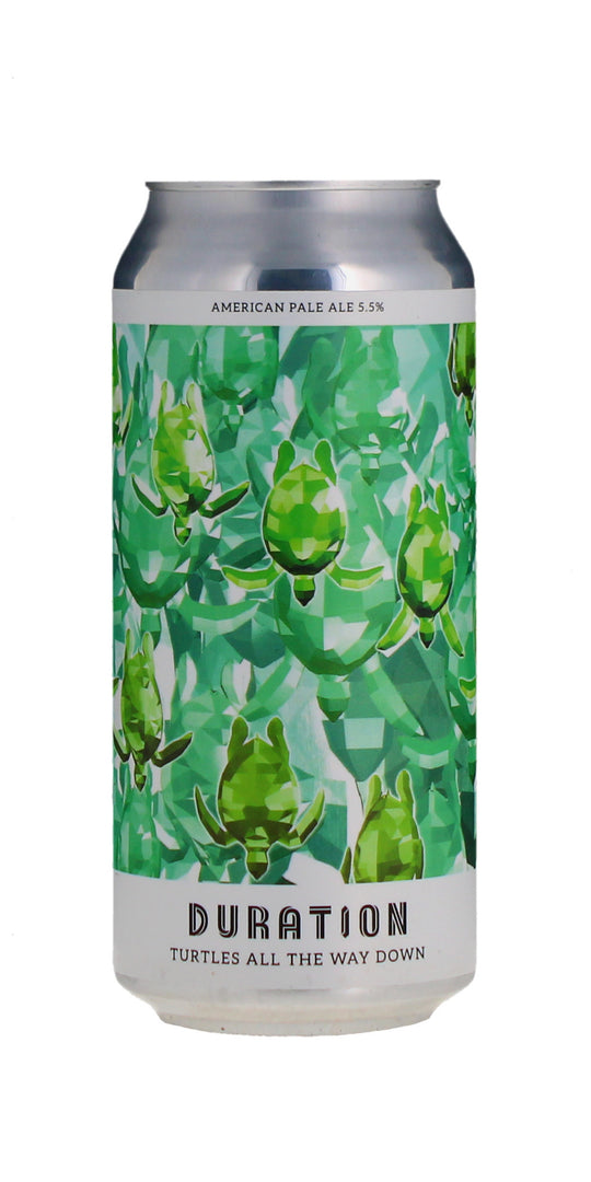 Duration Turtles All The Way Down 5.5% 440ml