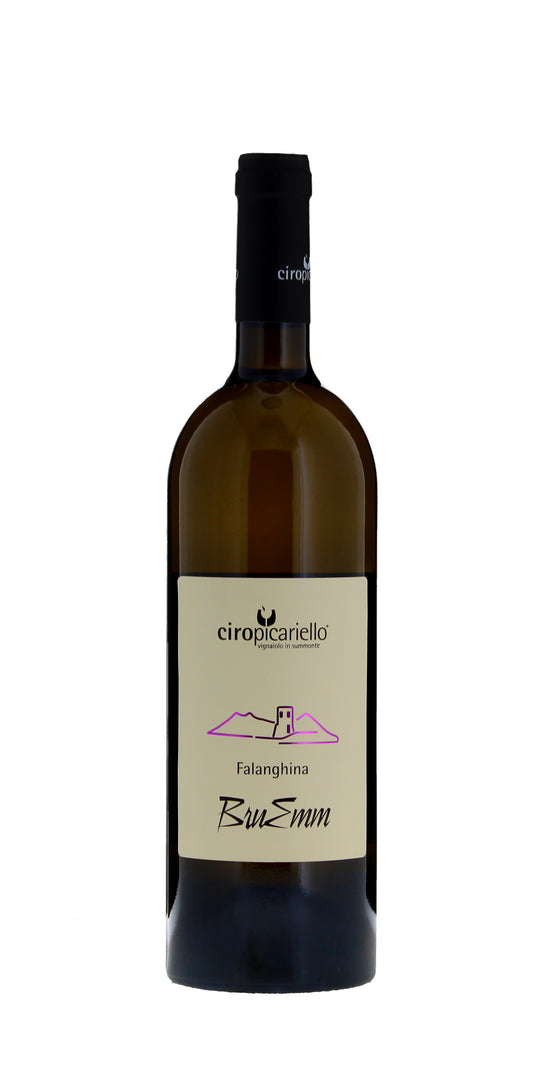 Ciro Picariello, Falanghina Campania, 2024