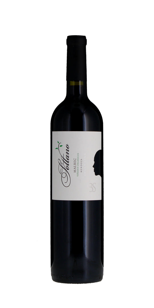 Sottano Organic Malbec, Mendoza, 2018